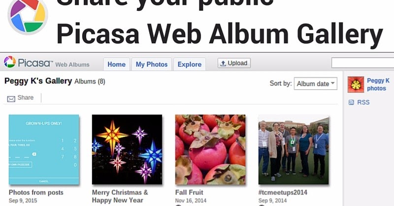 What s happening to Picasa Picasa Web Albums and the Picasa Web Albums API